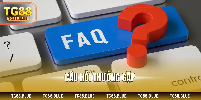 Câu hỏi thường gặp
