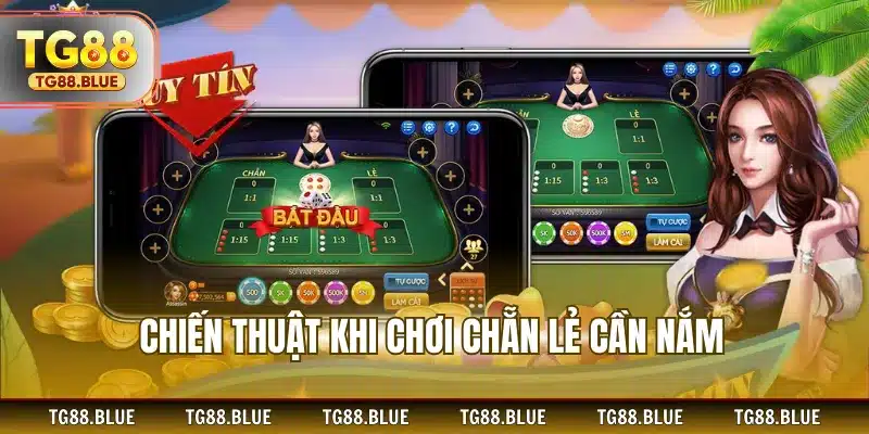 Chiến thuật khi chơi chẵn lẻ cần nắm