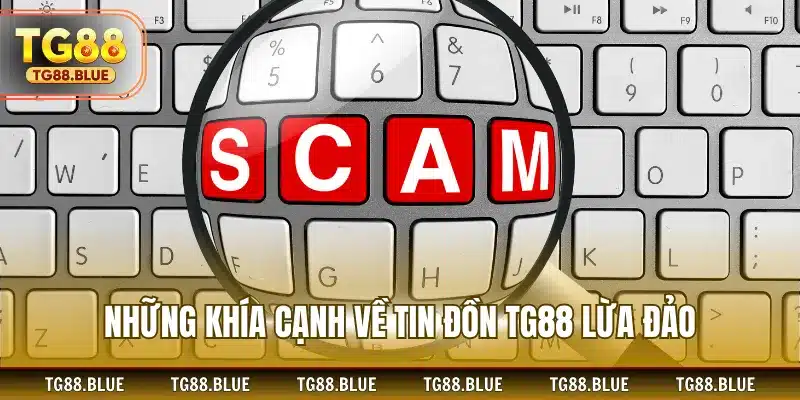 Những khía cạnh về tin đồn TG88 đã lừa đảo