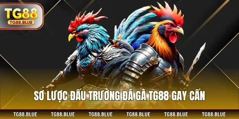 Sơ lược đấu trường đá gà TG88 gay cấn